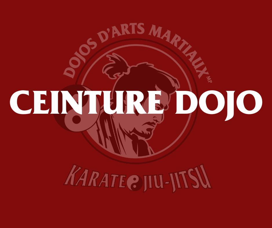 DOJO Belt | CORPORATE DOJOS